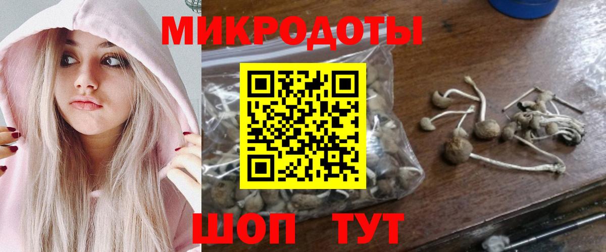 Нововоронеж  Псилоцибиновые грибы Cubensis  Вход с VPN  Псилоцибиновые грибы Psilocybe 